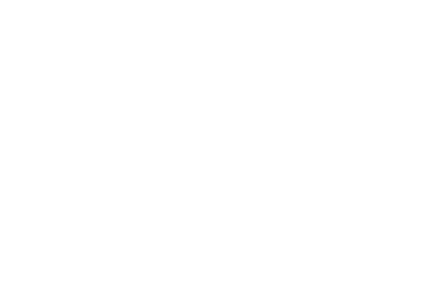 Tehani Premium Tea
